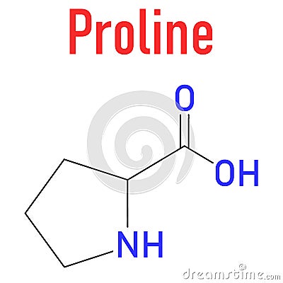 Proline or l-proline, Pro, amino acid molecule. Skeletal formula. Vector Illustration