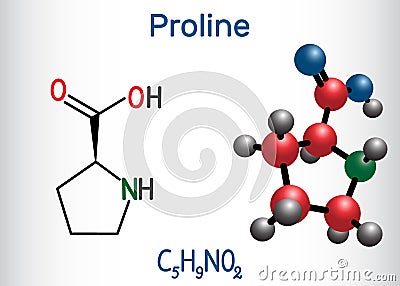 Proline L- proline, Pro , P proteinogenic amino acid molecule. Structural chemical formula and molecule model Vector Illustration