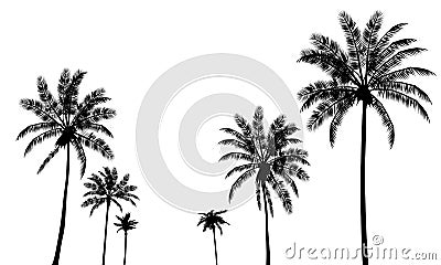 Palms trees silhouettes set Cartoon Illustration