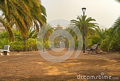 Promenade alley in a public park covered with sand storm, calima. Tenerife, Spain Stock Photo