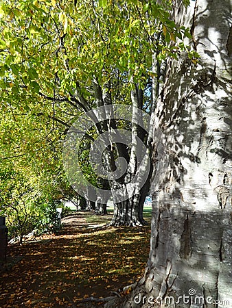 Promenade at the park Stock Photo