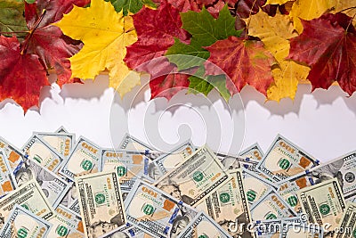 Promotion sale concept background with dollars money and leaves Stock Photo