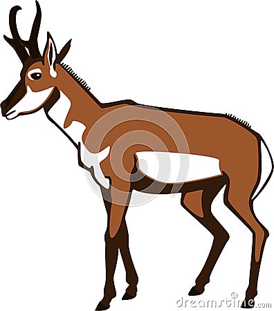 Pronghorn Antelope Vector Illustration