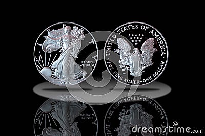 Proof American Silver Eagle Coin Stock Photo