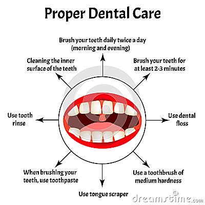 Proper dental care. International Dentist Day. The structure of the teeth and oral cavity. Diseases of the teeth Vector Illustration