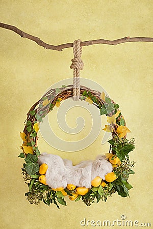 Props for photographing newborns, a hanging ring on a branch with pears and leaves on a yellow Stock Photo