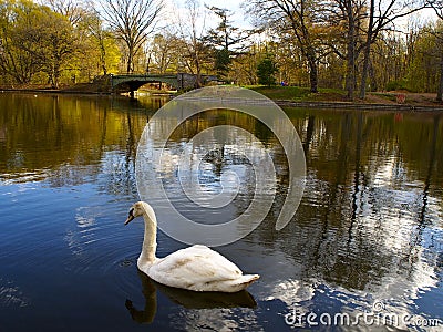 Prospect Park Stock Photo