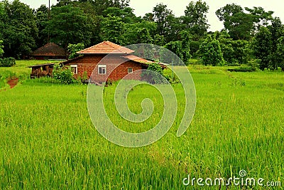 Prosperous Indian village Stock Photo