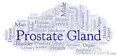 Prostate Gland word cloud. Stock Photo