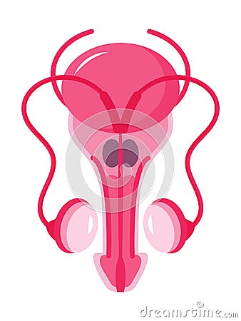 Prostate icon concept vector. Andrologist illustration of andrology for web, landing page, blog. Ovary, testis, adrenal Vector Illustration