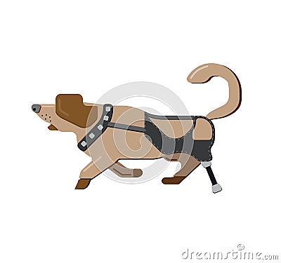 Prostheses. Disabled dog. Disability pets. Prosthetic leg. Running beagle. Dog Isolated on white background. Running side view dog Vector Illustration