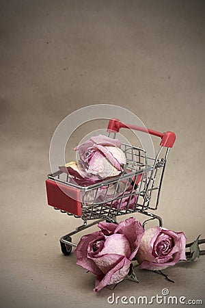 Prostitution concept. Dried roses in pushcart Stock Photo