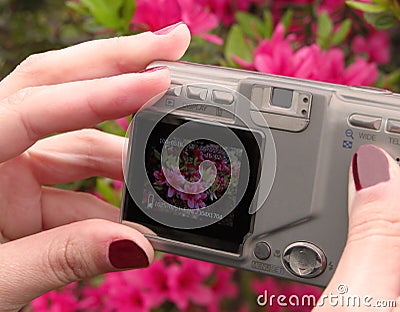 Prosumer digital camera Stock Photo