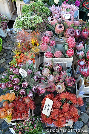 Protea flowers on a farmers market Stock Photo