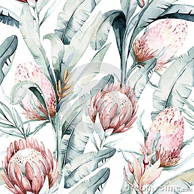 Protea seamless pattern flower. watercolor tropical leaves, hand painted illustration of exotic floral elements Cartoon Illustration