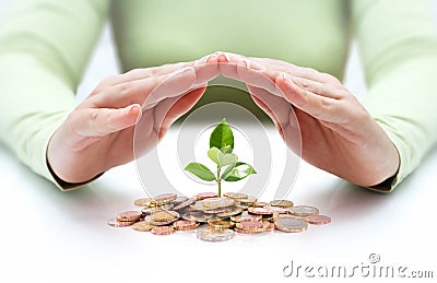 Protect new business start-up - with hands and plant Stock Photo