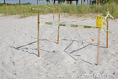 Protected Sea Turtle Nests Stock Photo
