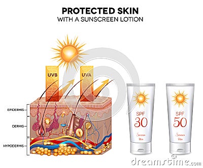 Protected skin with a sunscreen lotion Vector Illustration