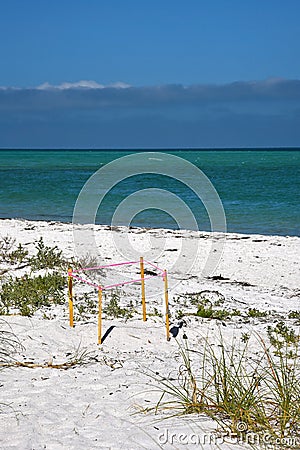 Protected Turtle Nest Stock Photo