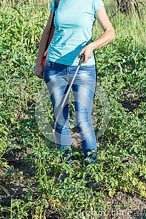 Protecting potatoes plants from fungal disease or vermin with pr Stock Photo