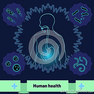 Protection of body against harmful bacteria and microorganisms, a healthy human stomach. Cartoon Illustration