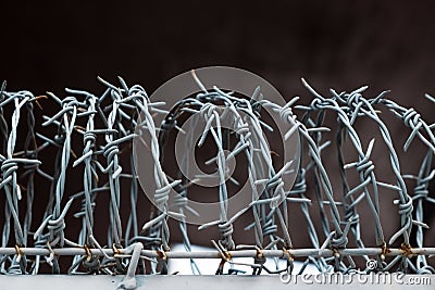 Protection Fence with Sharp Barbed Wire. Independence or freedom Stock Photo