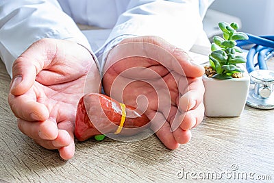 Protection, treatment, prevention and patronage health in gastroenterology in liver health against diseases, pathologies concept p Stock Photo