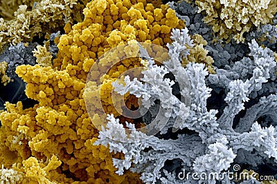 Protein atomic scale micro particles dna dnr atoms microscope molecular level proteins fats acids nucleus cell Stock Photo