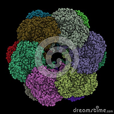 Protein complex Cartoon Illustration