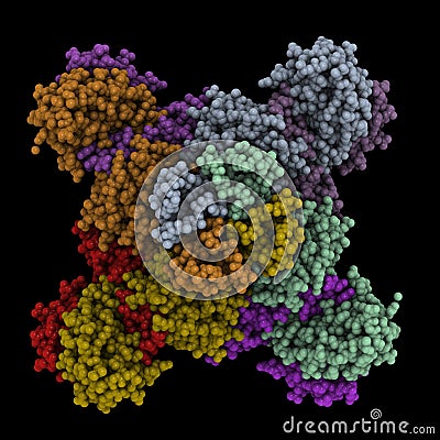 Protein complex Cartoon Illustration