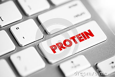 Protein - large biomolecules and macromolecules that comprise one or more long chains of amino acid residues, text concept button Stock Photo