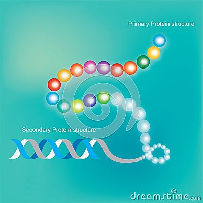 Protein Structure Stock Photo