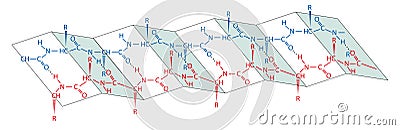 Proteins are large biomolecules, or macromolecules, consisting of one or more long chains of amino acid residues. Protein structur Stock Photo