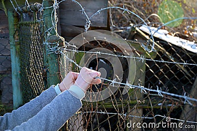 Protesting woman with child and man. overcome the barbed wire, praying and gestures of supplication. indicating that they want fre Stock Photo