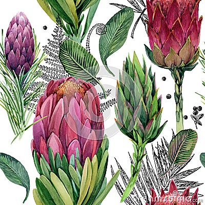 Proteus flower Illustration. Stock Photo
