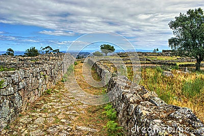 Proto-historic settlement in Sanfins de Ferreira Stock Photo