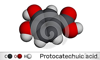 Protocatechuic acid, PCA molecule. It is 3,4-dihydroxybenzoic, phenolic acid, metabolite of antioxidant polyphenols, catechol, is Stock Photo