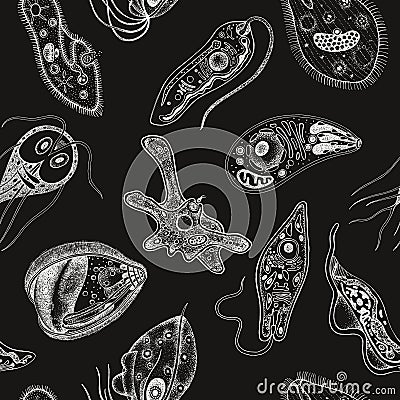 Protozoa monochrome vector seamless pattern Vector Illustration