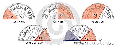 Protractor - protractor actual size graduation isolated on background vector Vector Illustration