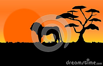 A Proud Lion in a Sunset in Africa Vector Illustration