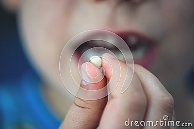 Proud young boy age 6 holds his falling milk teeth. Childhood healthcare concept. Real people Stock Photo