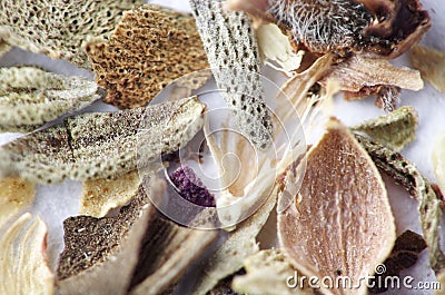 Provence herbs extreme macro close-up Stock Photo