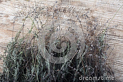 Provence herbs top view texture lavender on wooden table Stock Photo