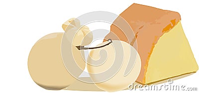 Provola and provolone cheeses matured Vector Illustration