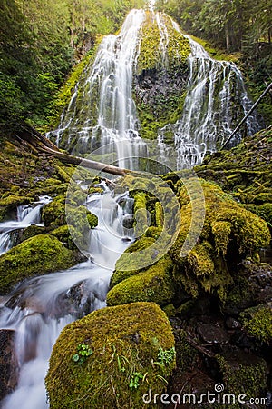 Proxy falls and mossy logs in Oregon Stock Photo
