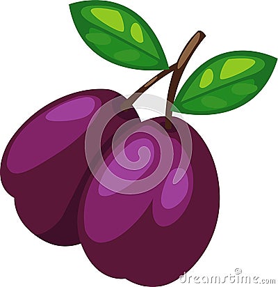 Prune vector Vector Illustration