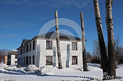 Pruned tree trunks freaks at home in winter Russia Stock Photo