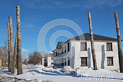 Pruned tree trunks freaks at home in winter Russia Stock Photo