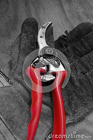 Pruners Stock Photo