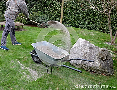 After pruning a bunch of lawn, gardeners apply silica white sand. for better structure and airiness against grass mold. load on a Stock Photo